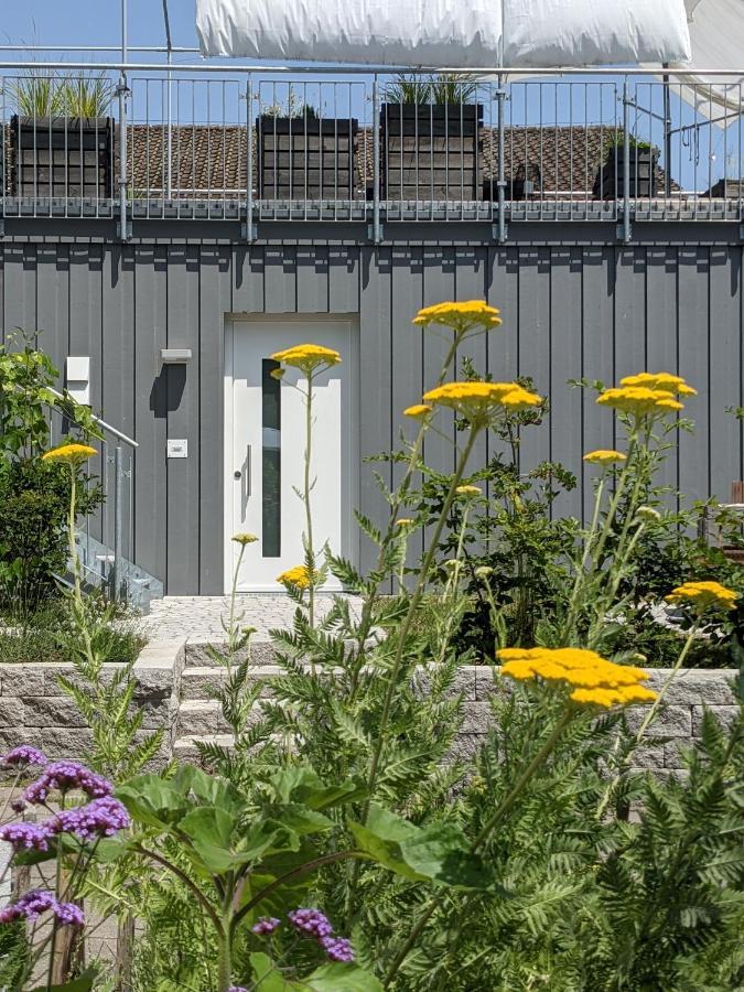 Haus Zur Aach Tinyhouse Villa Uhldingen-Mühlhofen Dış mekan fotoğraf